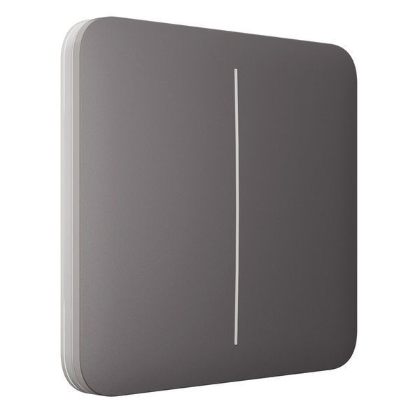 Вимикач Охоронна сигналізація LightSwitch 2-gang Grey двоклавішний