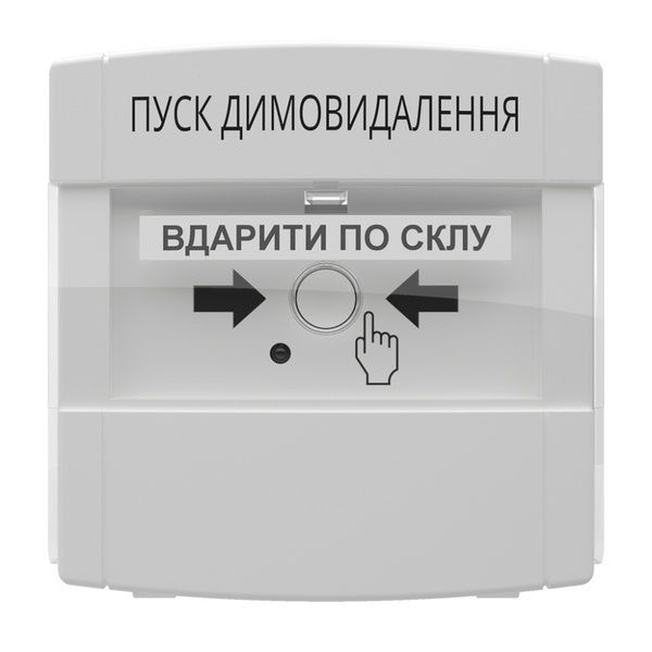 Адресна кнопка керування автоматикою DETECTO BTN 110