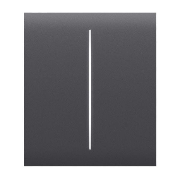 Кнопка Охоронна сигналізація CenterButton (2-gang) graphite для двоклавішного вимикача