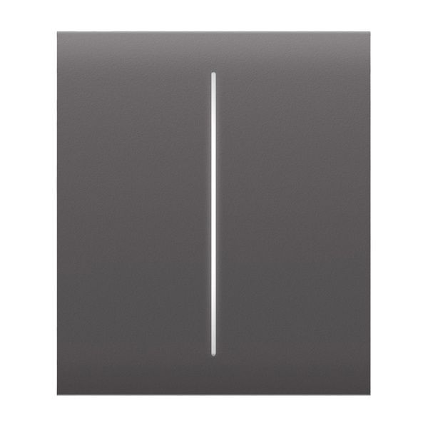 Кнопка Охоронна сигналізація CenterButton (2-gang) grey для двоклавішного вимикача